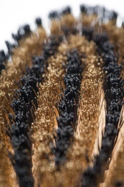 Brosse Pour Poils Courts Lila Loves It -Pet Haven Soldes Lila loves it 66