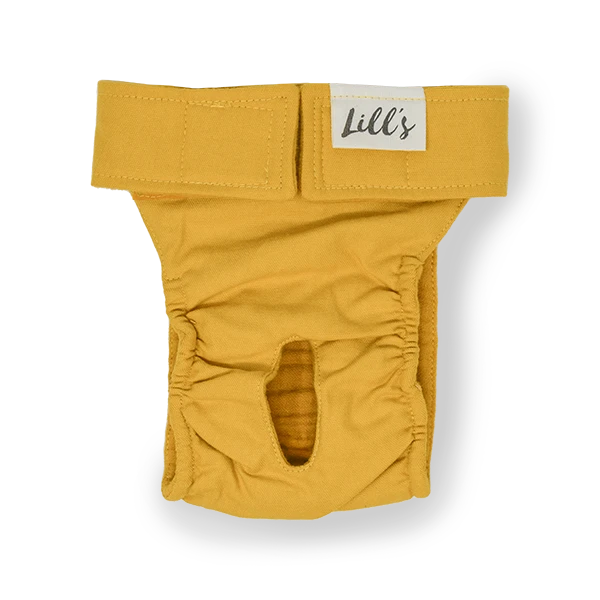 Culotte De Chaleurs Pour Chienne En Coton Bio 6 Culotte De Chaleurs Pour Chienne En Coton Bio – Image 4