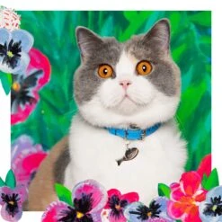 Collier Pour Chat En Cuir Louis Wain 17 Collier Pour Chat En Cuir Louis Wain -Pet Haven Soldes LouisWain CheshireAndWain RachelOates 10 4 1800x1800 d26c10b4 cce6 44d7 bfe7 84f194f80005