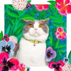 Collier Pour Chat En Cuir Louis Wain 15 Collier Pour Chat En Cuir Louis Wain -Pet Haven Soldes LouisWain CheshireAndWain RachelOates Green Cat Collar 1800x1800 5e935efb caa2 4d8e bba9 d3451f03f747