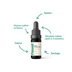 Huile De CBD Pour Chien 2,5%, 5%, 7% 8 Huile De CBD Pour Chien 2,5%, 5%, 7% -Pet Haven Soldes MC H2 500x c2e997c6 6b53 4123 aab3 9af63c83a97e