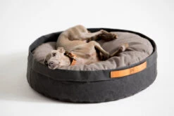 Coussin Pour Chat Et Chien Irvin (3 Couleurs) -Pet Haven Soldes MG 0835