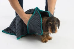 Serviettes Absorbante Sally -Pet Haven Soldes MG 8502