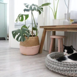 Panier Pour Chat Nido -Pet Haven Soldes Miacara Nido 5