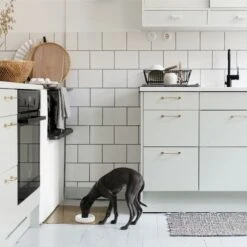 Bol Pour Chien Design Nordique Ole Hyvä -Pet Haven Soldes Ole hyva dog ceramic bowl for tiny dogs