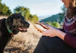 PLAY Peluche Pour Chien Sandwich Gimme S'mores -Pet Haven Soldes PLAY LC 0971 web