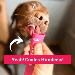 Moule à Glace Pour Chien Ice Pops