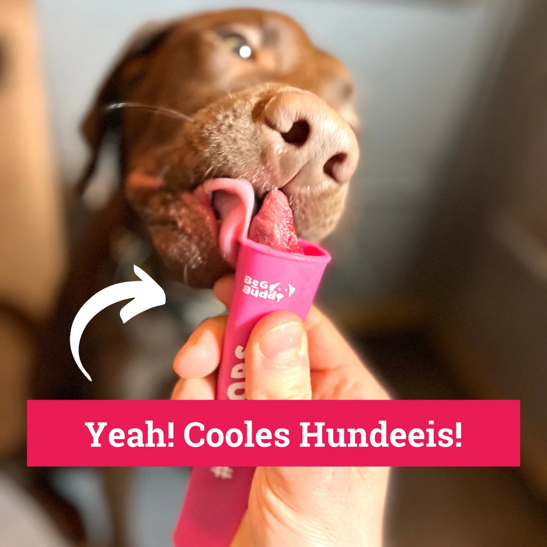 Moule à Glace Pour Chien Ice Pops 3 Moule à Glace Pour Chien Ice Pops