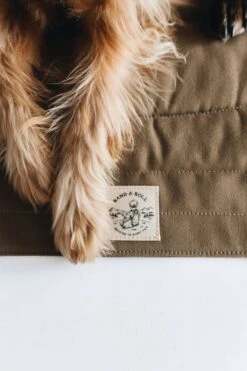 Matelas De Voyage Pour Chien Enroulable Compass Band & Roll -Pet Haven Soldes Pawsonthebraunblanket 720x 9d6a52c4 2442 4a35 9a76 4b97f387698d