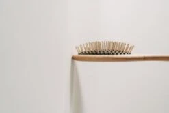 Brosse Chiens Poils Longs Lila Loves It -Pet Haven Soldes Produkt Informationen Buerste Langhaar mit Griff 1000x667 1