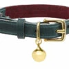 Collier En Cuir Pour Chat Rigby -Pet Haven Soldes RIGBY PERSONALISED LEATHER CAT COLLAR LUXURY