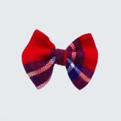 Noeud Papillon Pour Chat écossais -Pet Haven Soldes SHUKA RED CAT BOW TIE WEB 444x444 2c473c66 25aa 43a3 a2a9 255761825c0d