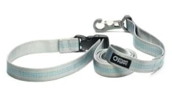 Laisse Souple Everyday (3 Couleurs) -Pet Haven Soldes SP Leashes Large Silver 900x d4ccfeed 57c6 441c a8f2 fdf31e8d91d3