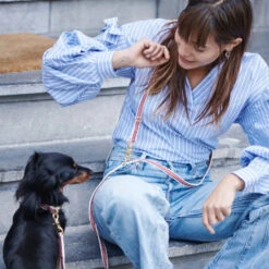 Laisse Pour Chien Chef L’Bark Rouge Et Crème -Pet Haven Soldes Scene CheflBark Firered 02