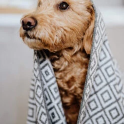 Serviette Absorbante Linaa -Pet Haven Soldes Soft bamboo fabric dog towel 5 600x600 1