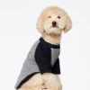 Sweat Pour Chien Blinky -Pet Haven Soldes Sudadera Blinky Jumper Blinky 3
