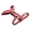 Harnais Pour Chien En H Vichy -Pet Haven Soldes T038HH mainpetit