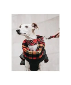 Manteau D'hiver Pour Lévriers -Pet Haven Soldes abrigo para galgo de cuadros tartan de color naranja b0531385 3054 4baa 8039 25d6d8145021