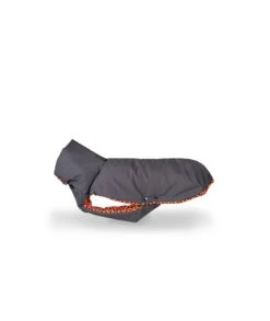 Manteau D'hiver Pour Lévriers -Pet Haven Soldes abrigo para galgo hypster de color gris y textura er 36910fd3 1758 4f83 b51a 8eeeb41606ff