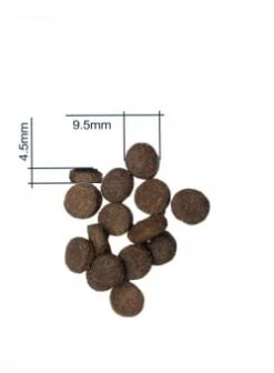 Pet Haven Soldes -Pet Haven Soldes adultchickenmini