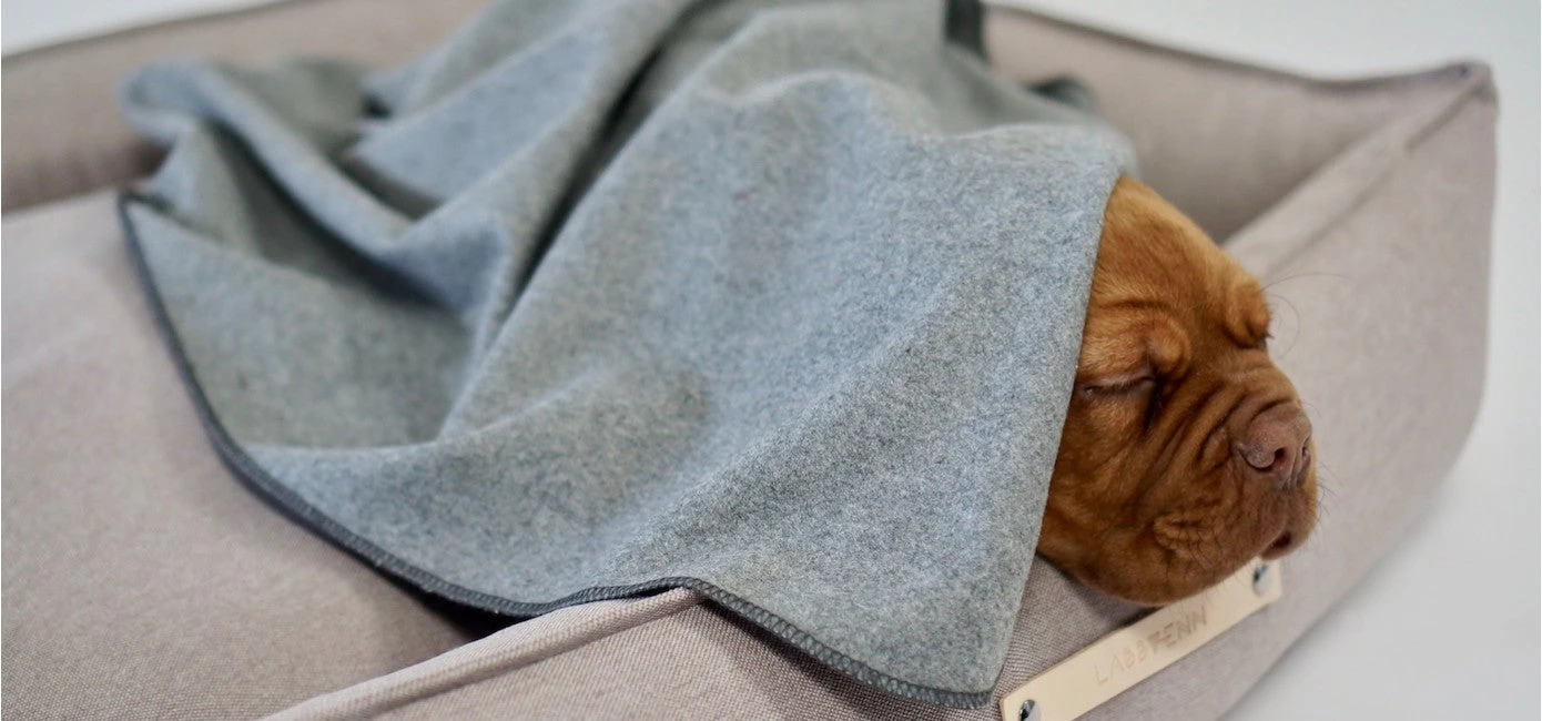 Couverture En Laine Grise Asnen 4 Couverture En Laine Grise Asnen – Image 2