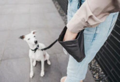 Sac à Récompenses Lupo Miacara -Pet Haven Soldes banu whippet 02