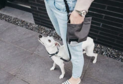 Sac à Récompenses Lupo Miacara -Pet Haven Soldes banu whippet 05