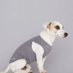 Pull Fin Pour Chien Agnes -Pet Haven Soldes body agnes 1