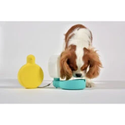 Gourde Pour Chien Avec Bol D’eau -Pet Haven Soldes borraccia pingui acquamarina cane dettaglio