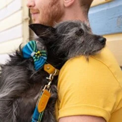 Noeud Papillon Pour Chien Shuka Blue -Pet Haven Soldes bowtie 621x621 06539c95 8a13 4e9c b5b3 6f21f0c90d94