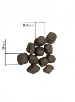 Pet Haven Soldes -Pet Haven Soldes breeding