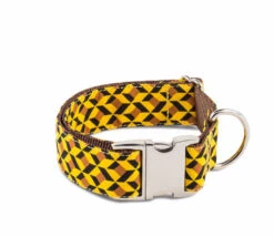 Collier Pour Chien UR