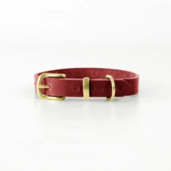Collier Pour Chien En Cuir Souple The Classic -Pet Haven Soldes butter dog collar chili red
