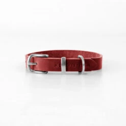 Collier Pour Chien En Cuir Souple The Classic -Pet Haven Soldes butter dog collar chili red 85f38e12 99cf 4ddd baa0 19187e81ad6a