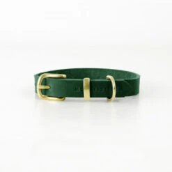 Collier Pour Chien En Cuir Souple The Classic -Pet Haven Soldes butter dog collar forest green