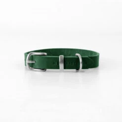 Collier Pour Chien En Cuir Souple The Classic -Pet Haven Soldes butter dog collar forest green 08f3e88f fa38 4ab2 8695 aa3e45bb41b1