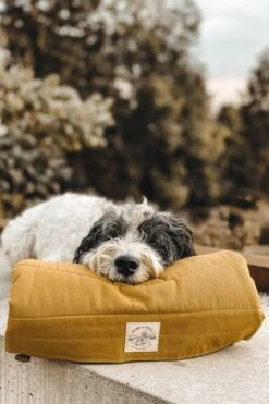 Matelas De Voyage Pour Chien Enroulable Compass Band & Roll -Pet Haven Soldes cf04a81573bc75b8c31670d4c7ac9c8f