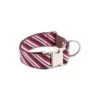Collier Pour Chien Calella -Pet Haven Soldes collar estampado raya marinera textura calella