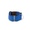 Collier Martingale +laisse Aiguaviva Pour Lévrier Galgo/greyhound -Pet Haven Soldes collar para perro brottdog textura aiguaviva3
