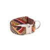 Collier Pour Chien Escranc 1 Collier Pour Chien Escranc -Pet Haven Soldes collar para perro brottdog textura escranc