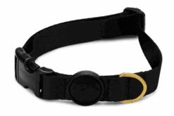 Collier Pour Chien Gold Caviar -Pet Haven Soldes collare gold caviar header top transparent b 1683bc6d e83f 4fee 9002 ea3b91c3db3d