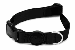 Collier Pour Chien Gold Caviar -Pet Haven Soldes collare pureness header top transparent c