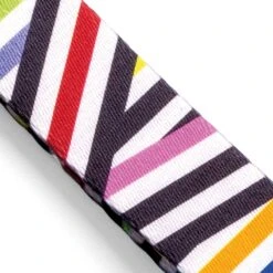 Collier Pour Chien Spaghetti -Pet Haven Soldes collare spaghetti incident mini gallery 03 v2