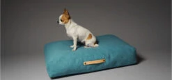 Coussin Pour Chien De Style Nordique -Pet Haven Soldes copenhagen 304f93e1 dbea 4096 a2de 8eff2bafeefe