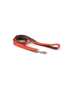 Collier Pour Chien Bohème Batea -Pet Haven Soldes dog collar brottdog textura batea 39b216ca 52f7 4863 b2b2 46ff3aca9036