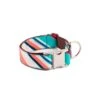 Collier Pour Chien Morisca Classique Et Martingale -Pet Haven Soldes dog collar brottdog textura morisca