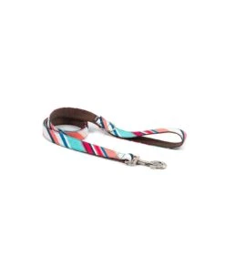 Collier Pour Chien Morisca Classique Et Martingale -Pet Haven Soldes dog collar brottdog textura morisca 42597f3d eb85 41f6 9727 3aaab72dddba