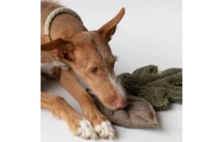 Peluches Pour Chien Feuilles D’arbre -Pet Haven Soldes dog toy 03f6bc6f ecb4 4bd9 bf8c 62b0caeaa46b