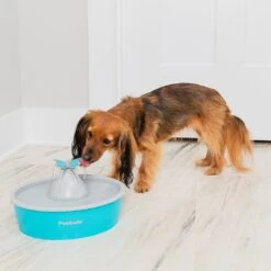 PetSafe Fontaine à Eau Butterfly Drinkwell -Pet Haven Soldes dogdrinkingfountain 1024x1024 2x e345ba43 8a0c 432d 8900 3ca3b79a11b2