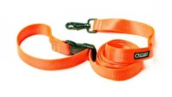 Laisse Souple Everyday (3 Couleurs) -Pet Haven Soldes edl orange 1024x1024 786875b2 0065 4187 b92c b1a63564a098